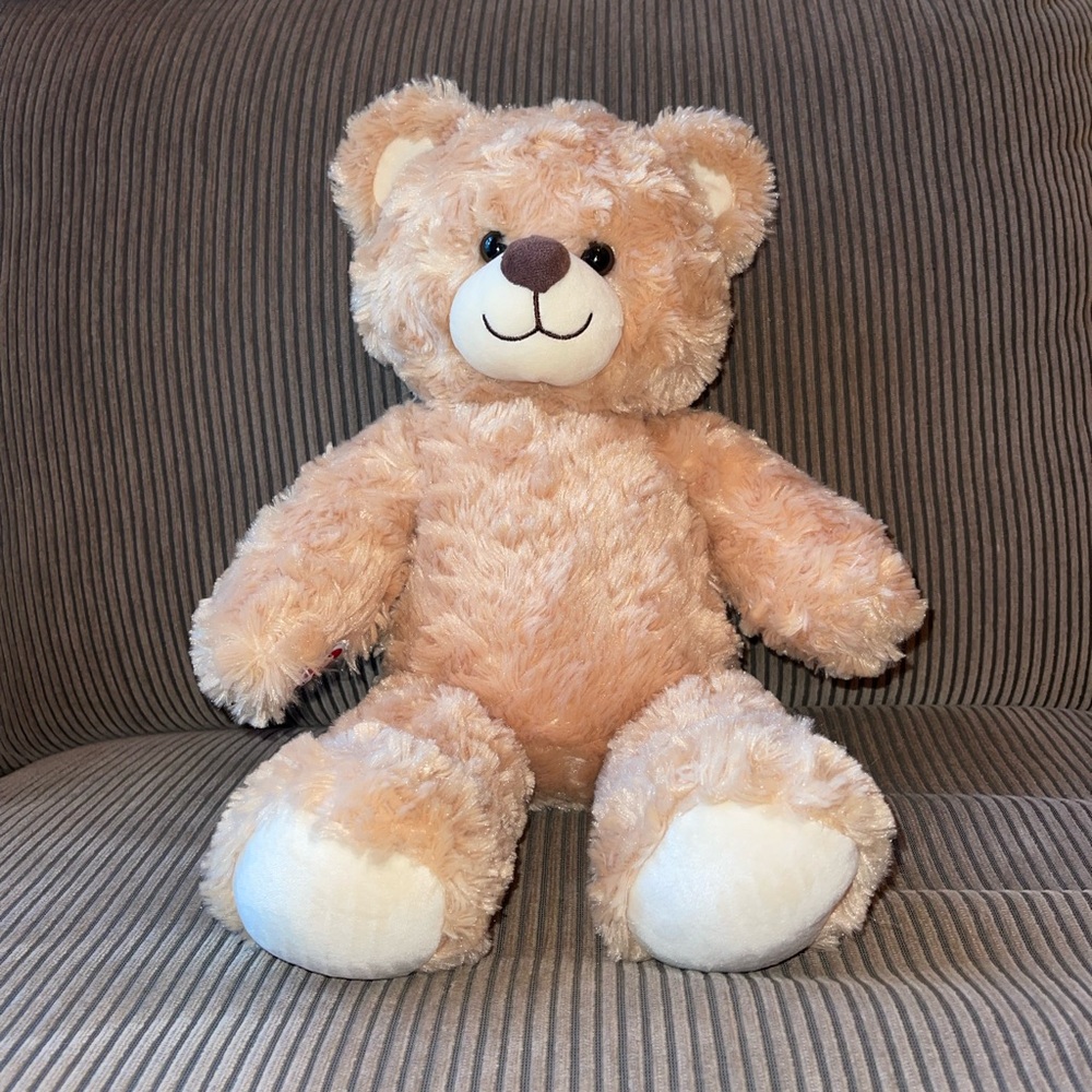 Build-A-Bear Workshop Bear